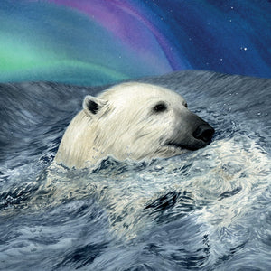 Hunter's Icy Adventure | Kids Educational Book about global warming & habitat loss