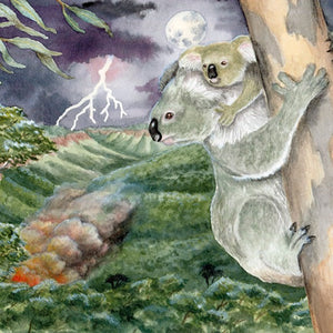Sunny's Blazing Battle | Children's Book about Climate Change, Koala Bears & the Environment