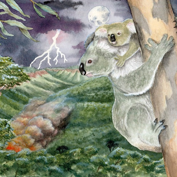 Sunny's Blazing Battle | Children's Book about Climate Change, Koala Bears & the Environment
