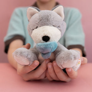 Dinkum Doll Puppy Recycled Plush Toy with a Magnetic Velvet Dummy.