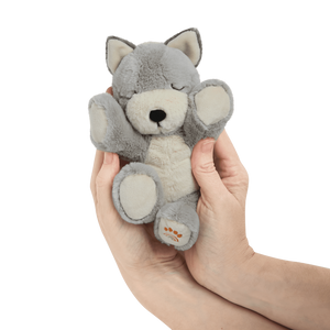 Dinkum Doll Puppy Recycled Plush Toy with a Magnetic Velvet Dummy.