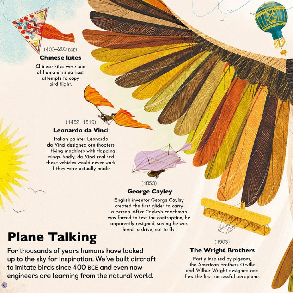 In the Sky - Designs Inspired by Nature