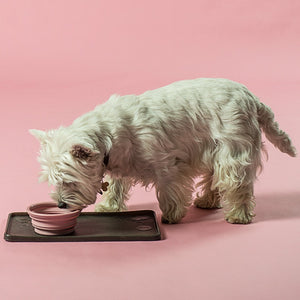 Hevea | Natural Rubber | Collapsible Dog Bowl | Eco Friendly & Sustainable in Old Rose Colourway