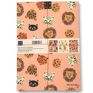 Emma Cooter Draws Fashionista Notebook Set of 3