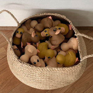 A Basket Full of Hevea Kawan Natural Rubber Ducks 