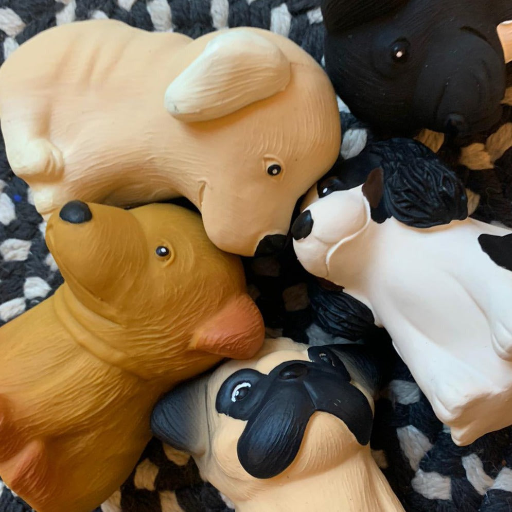 Hevea Natural Rubber Puppy Parade - Poodle - Teether Soother Natural Rubber Dog Toy