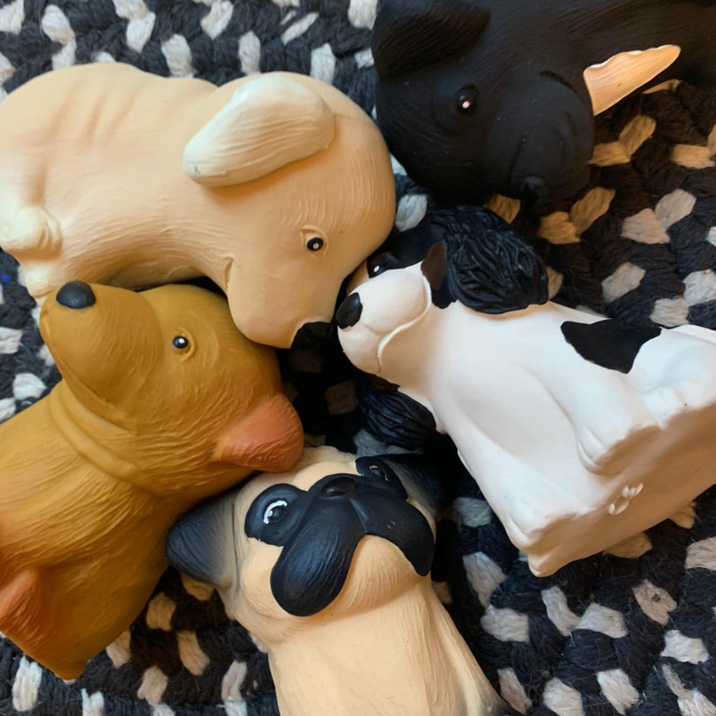 Eco Natural Sustainable Dog Toys Chews Accessories