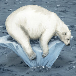 Hunter's Icy Adventure | Kids Educational Book about global warming & habitat loss