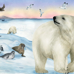 Hunter's Icy Adventure | Kids Educational Book about global warming & habitat loss