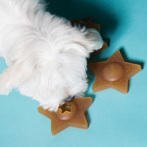 Hevea Natural Rubber Treat Activity Dog Toy | Ideal Puppy Training Toy as It Comes With a Star Shaped Hole to Hide Treats